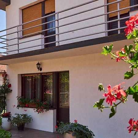 Milica Villa Banja Koviljača Exteriör bild