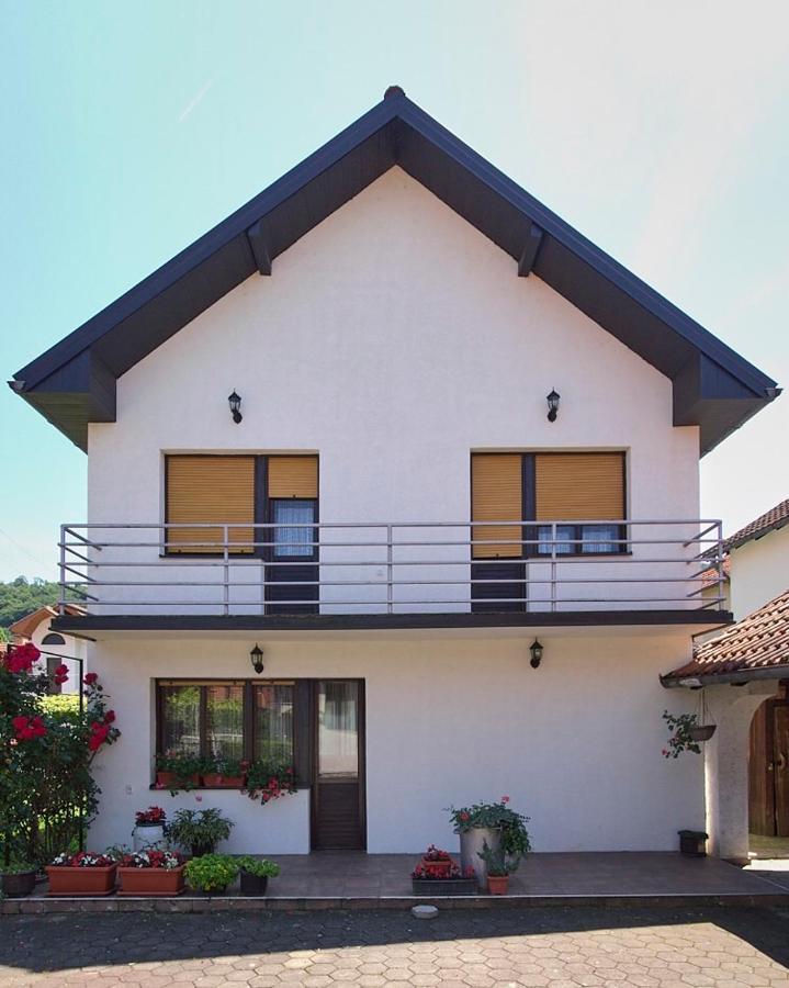 Milica Villa Banja Koviljača Exteriör bild