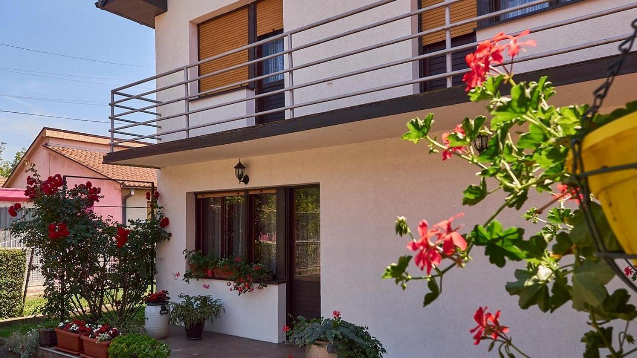 Milica Villa Banja Koviljača Exteriör bild